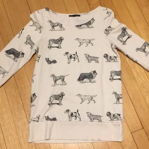 Doggy sweatshirt 🐕